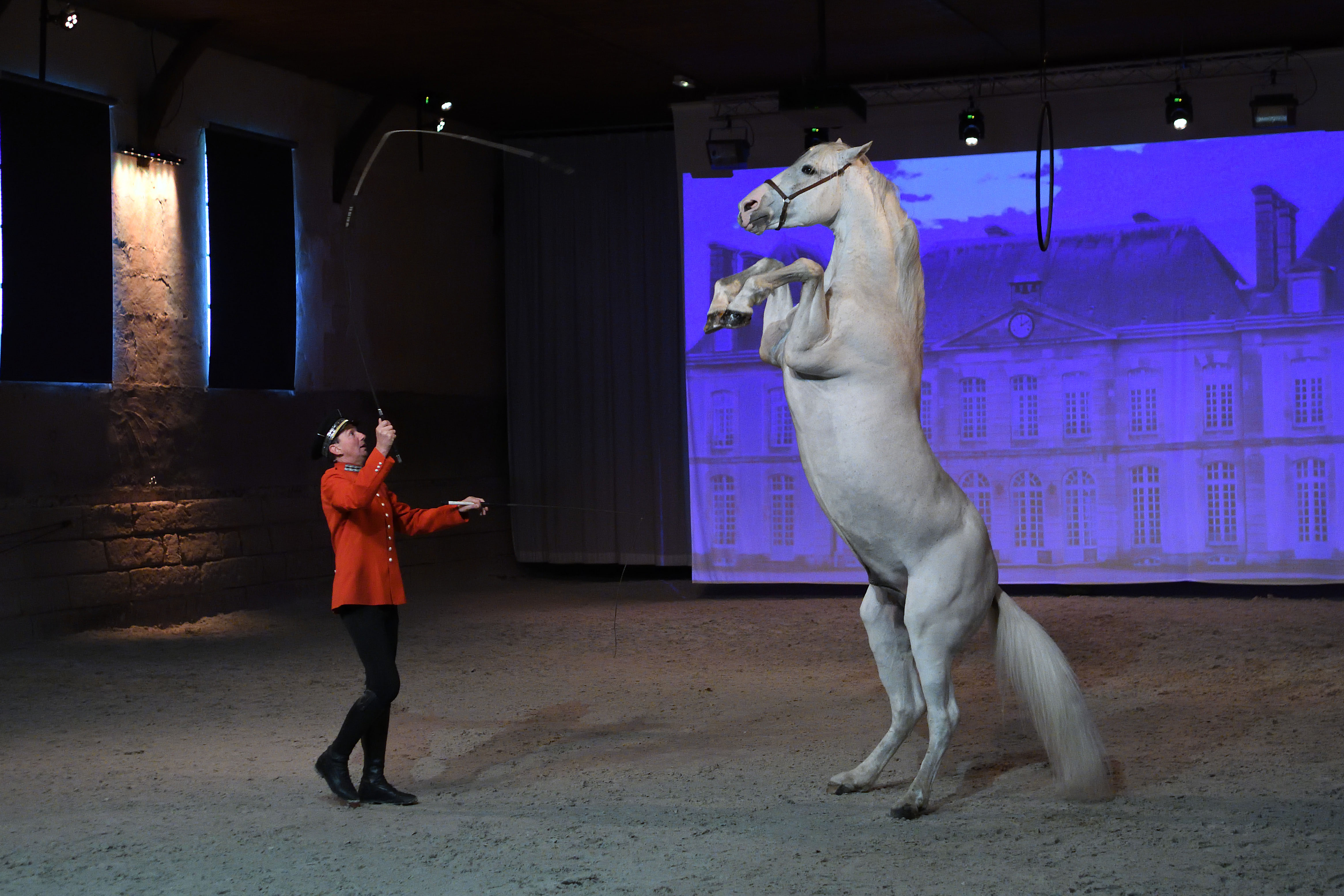 Haras du Pin 2@ david Commenchal.jpg